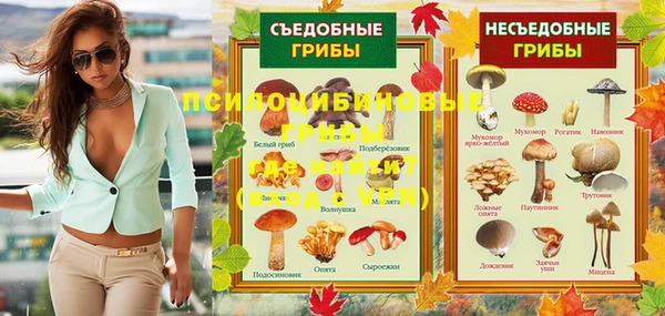 бошки Армянск