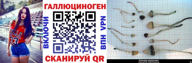 Купить где  Александровск  Псилоцибиновые грибы мухоморы 